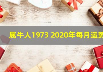 属牛人1973 2020年每月运势